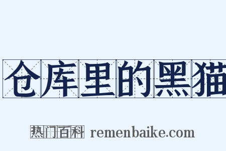 仓库里的黑猫是什么意思的图片